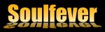 Soulfever_Logo_mit Spiegelung_Hintergrund_sw.jpg